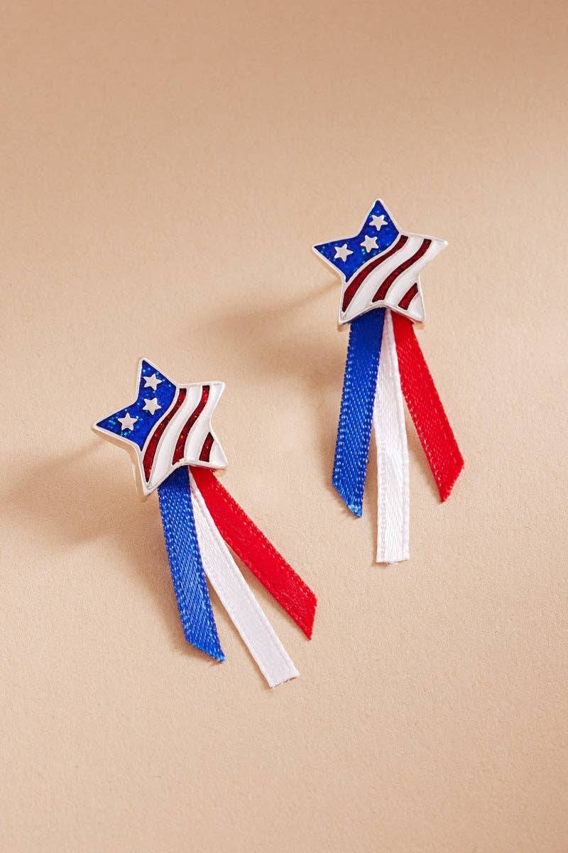 American Star Enamel Ribbon Tanium Post Earrings